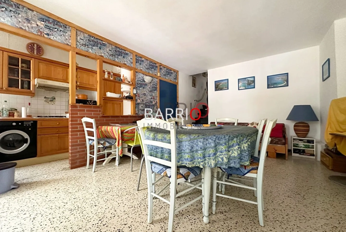 Bel appartement traversant à Argelès-sur-Mer à deux pas de la plage 