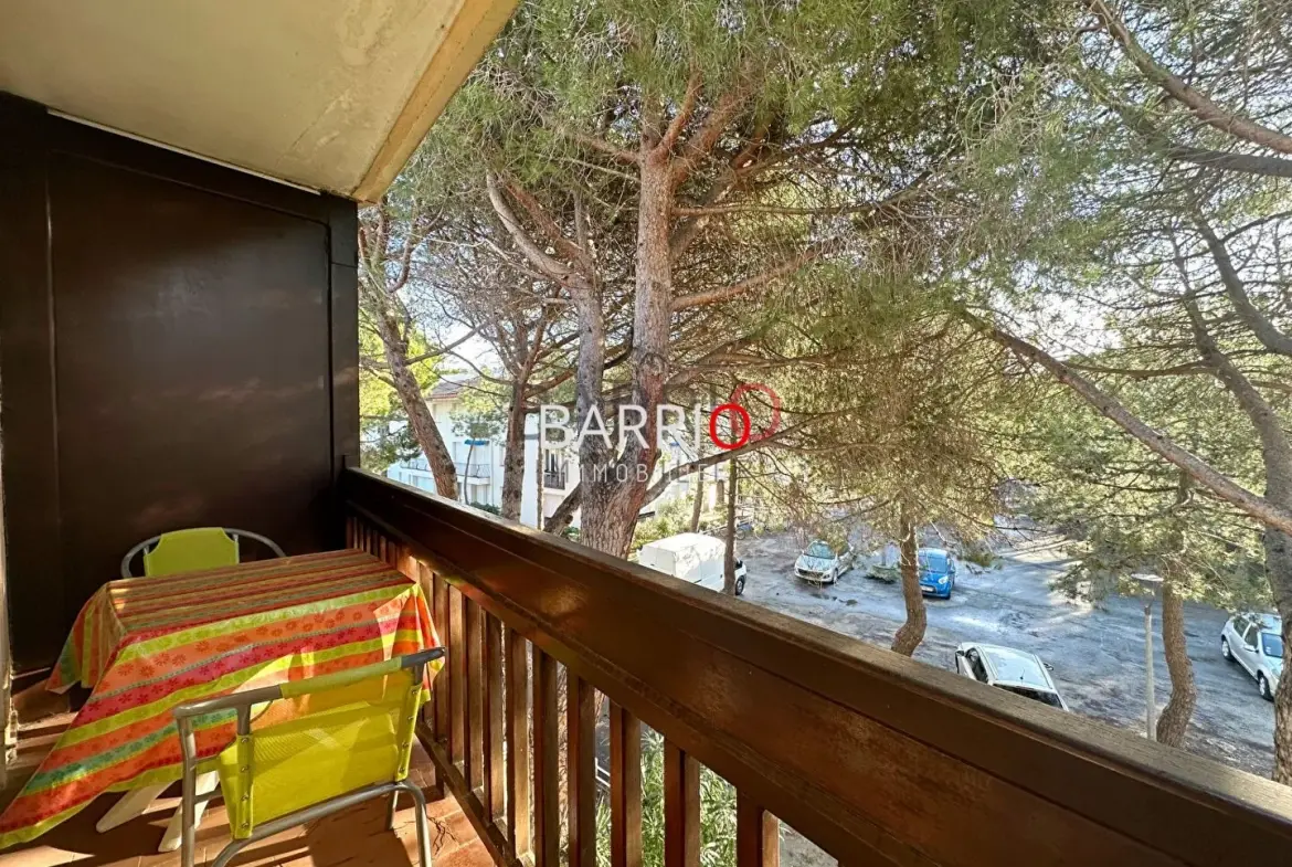 Bel appartement traversant à Argelès-sur-Mer à deux pas de la plage 