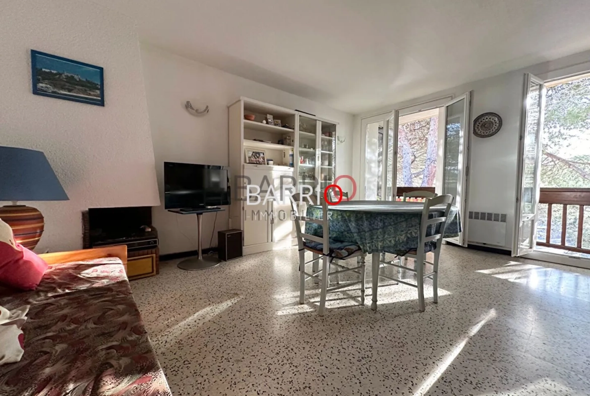Bel appartement traversant à Argelès-sur-Mer à deux pas de la plage 