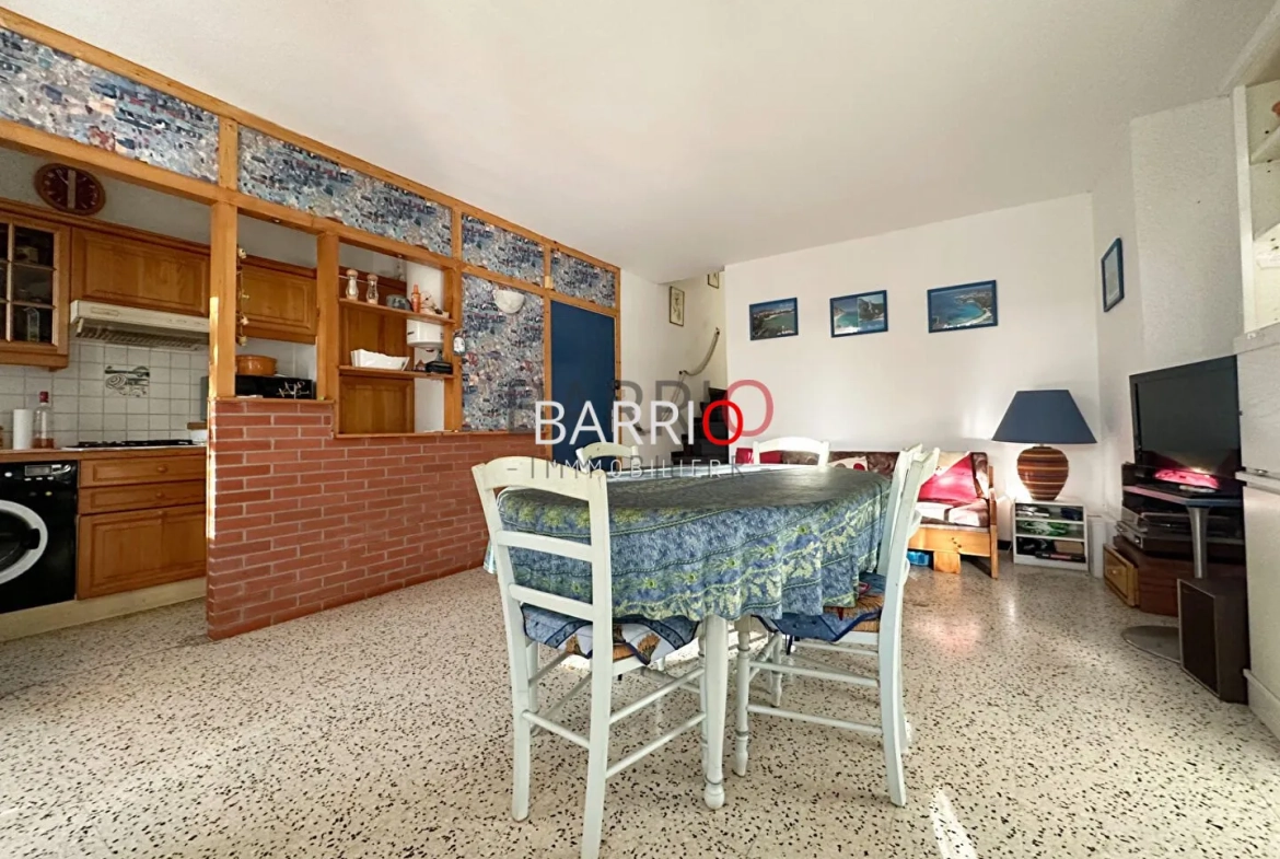 Bel appartement traversant à Argelès-sur-Mer à deux pas de la plage 