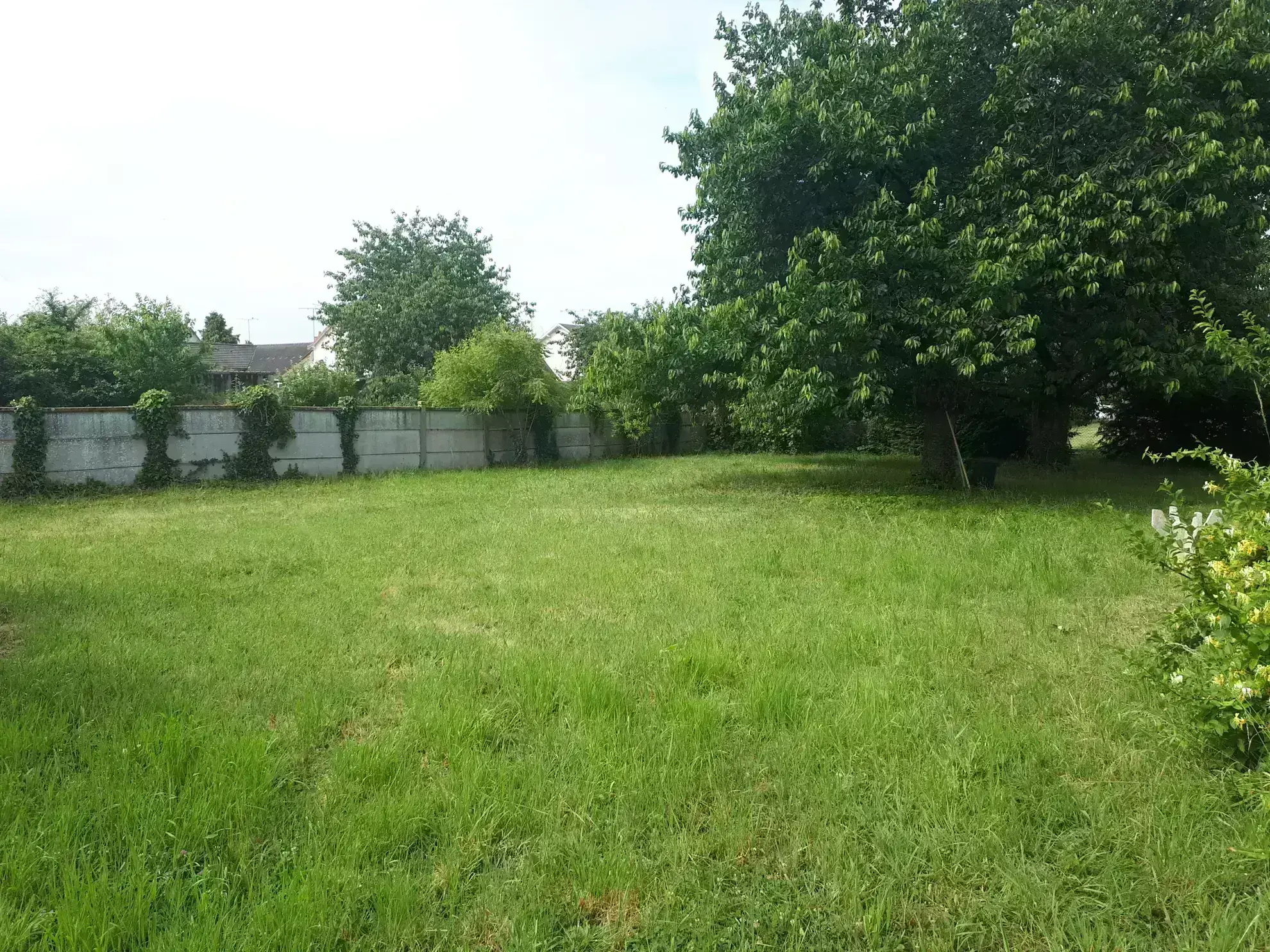 Maison d'architecte de 97 m² avec jardin à Les Ormes - Potentiel et charme 