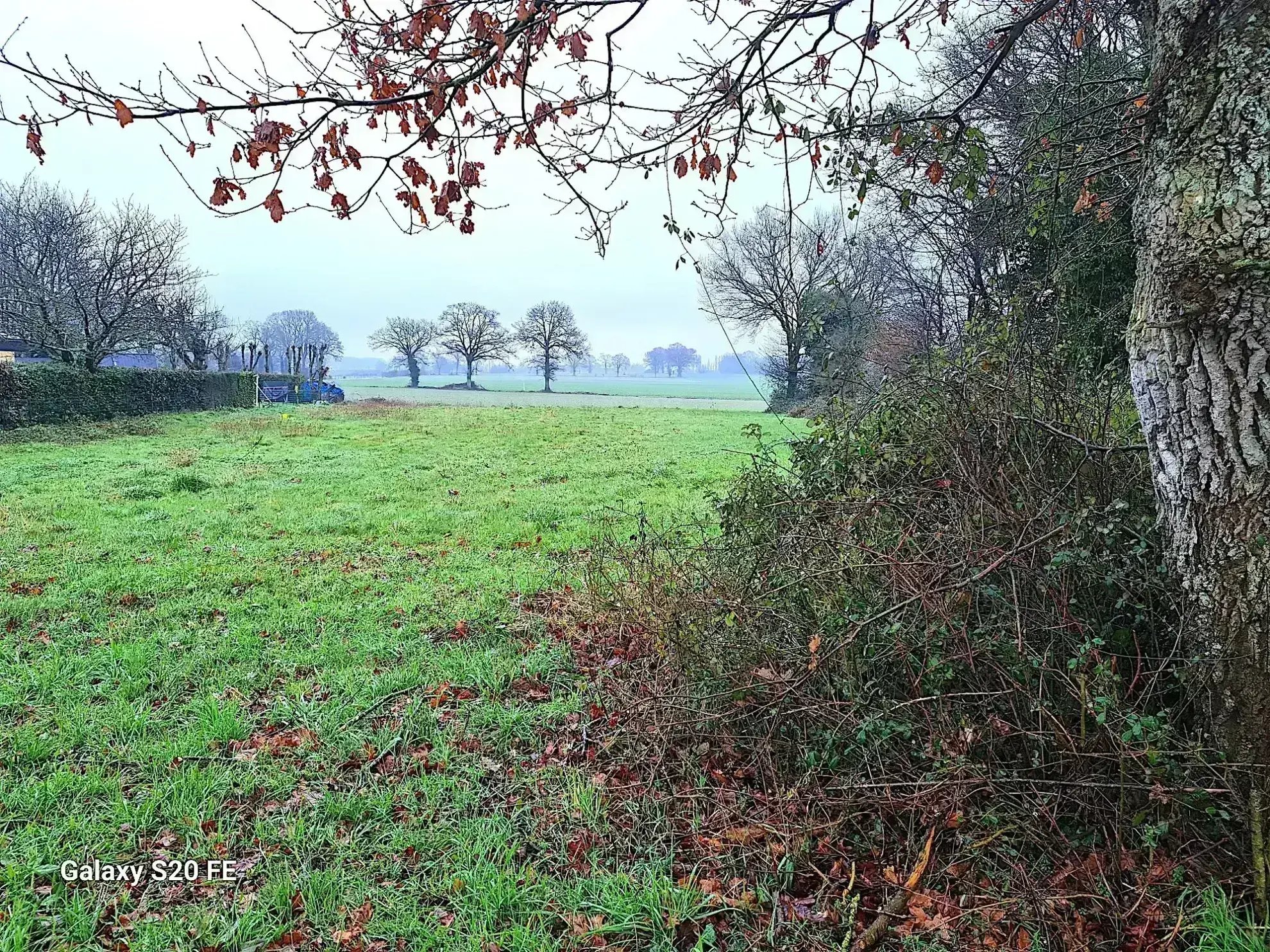 Terrain constructible à Bais - 1018 m², non viabilisé, proche de Vitré 