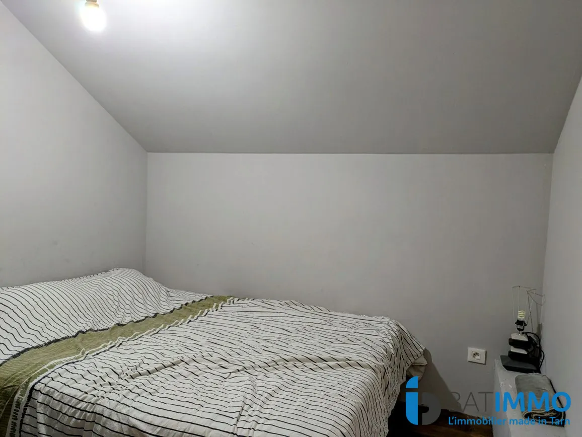 Maison rénovée à Carmaux avec 4 garages et terrasses, 140 m² 