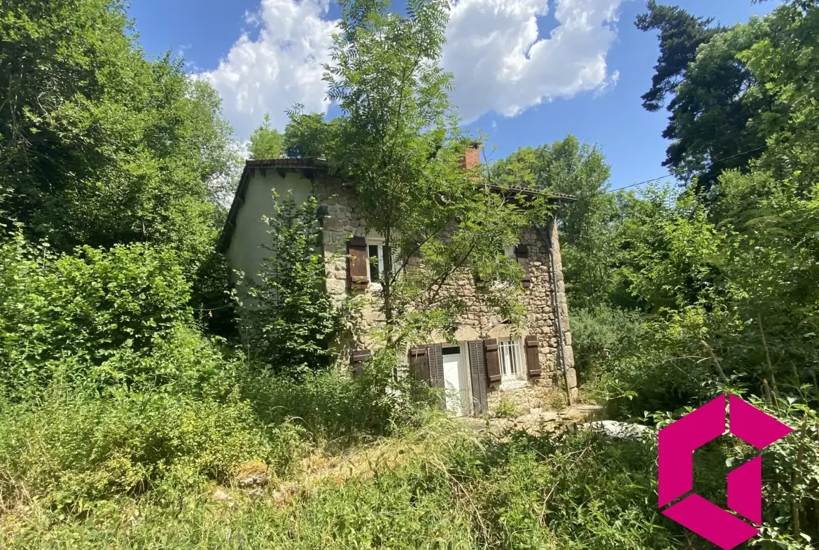Maison en pierres avec jardin et grands terrains à Connangles 