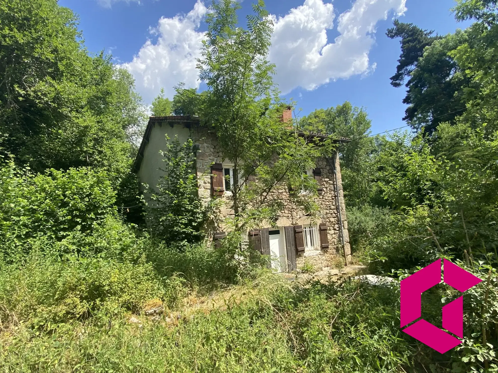 Maison en pierres avec jardin et grands terrains à Connangles 