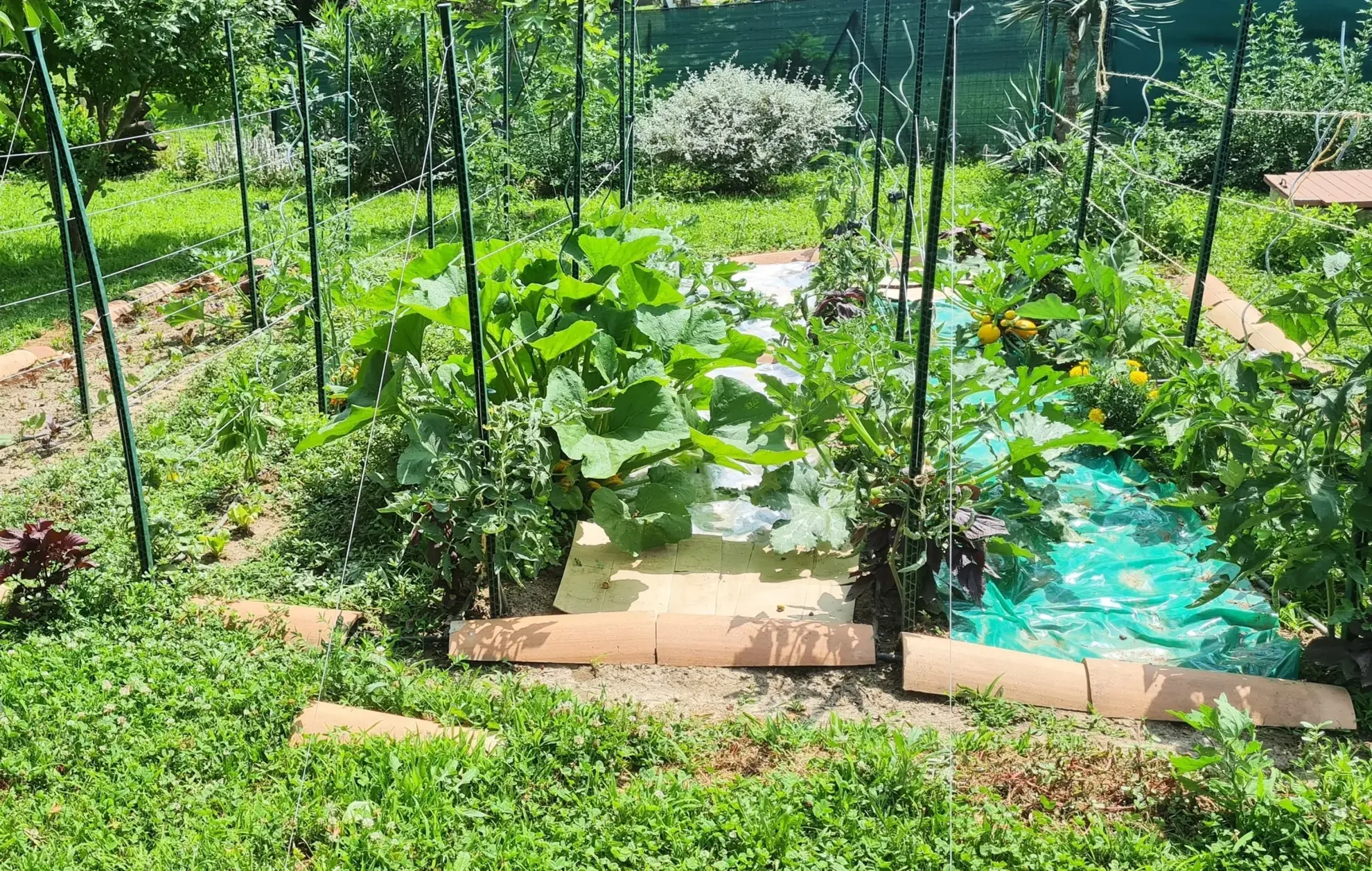 Charmante maison de plain-pied avec jardin et performance énergétique à Alès 