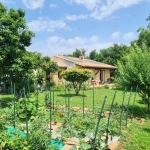 Charmante maison de plain-pied avec jardin et performance énergétique à Alès