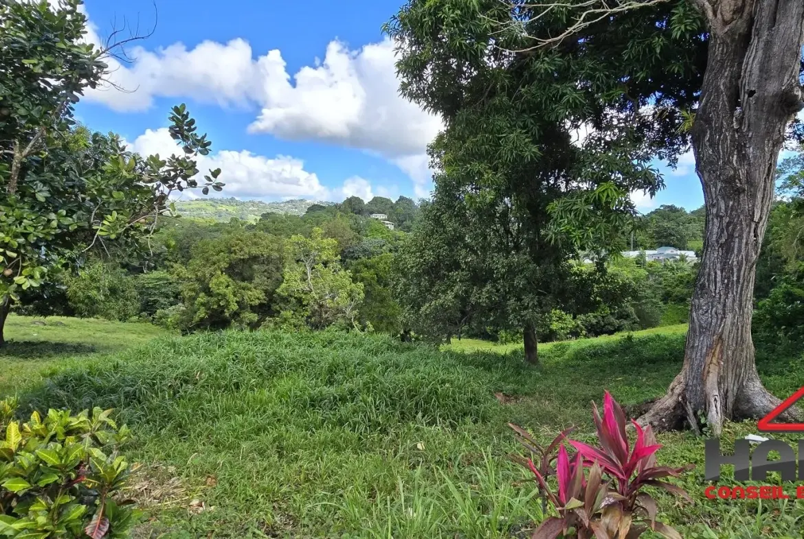 Terrain constructible de 585 m² avec vue sur la campagne à Le Robert 