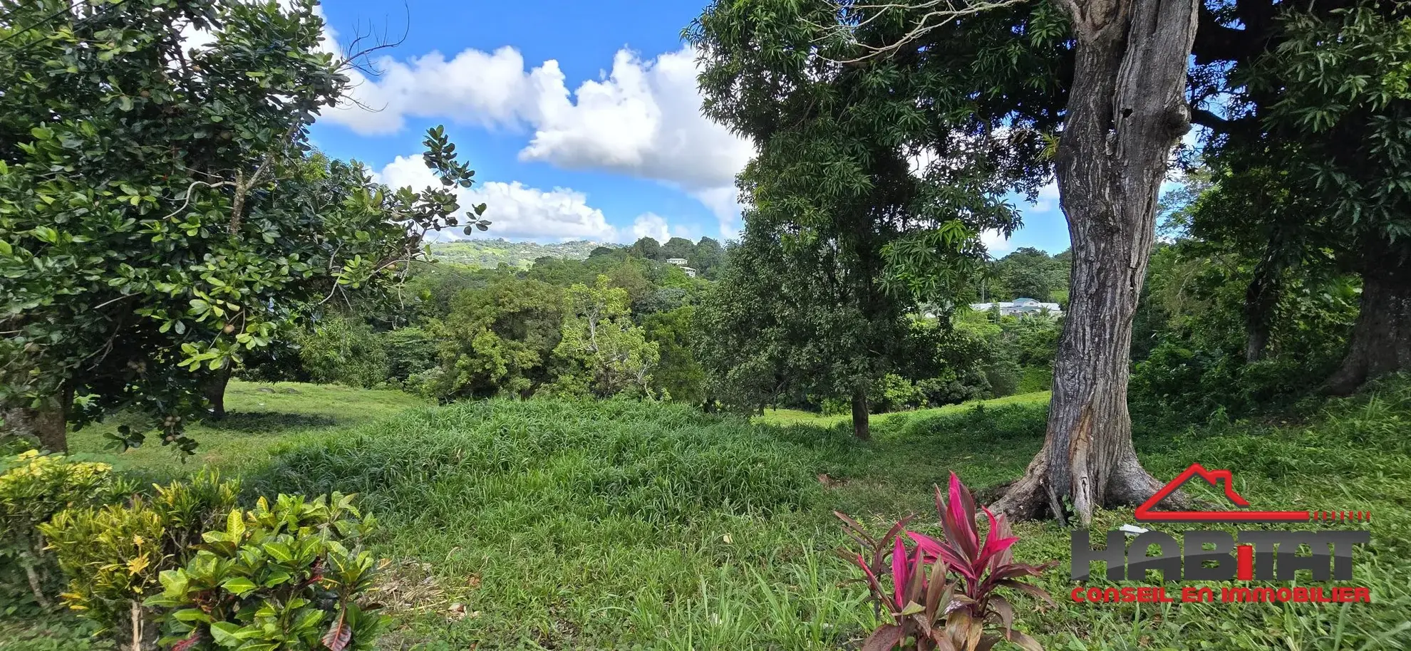 Terrain constructible de 585 m² avec vue sur la campagne à Le Robert 