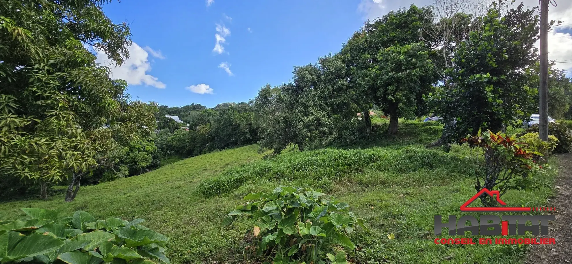 Terrain constructible de 585 m² avec vue sur la campagne à Le Robert 