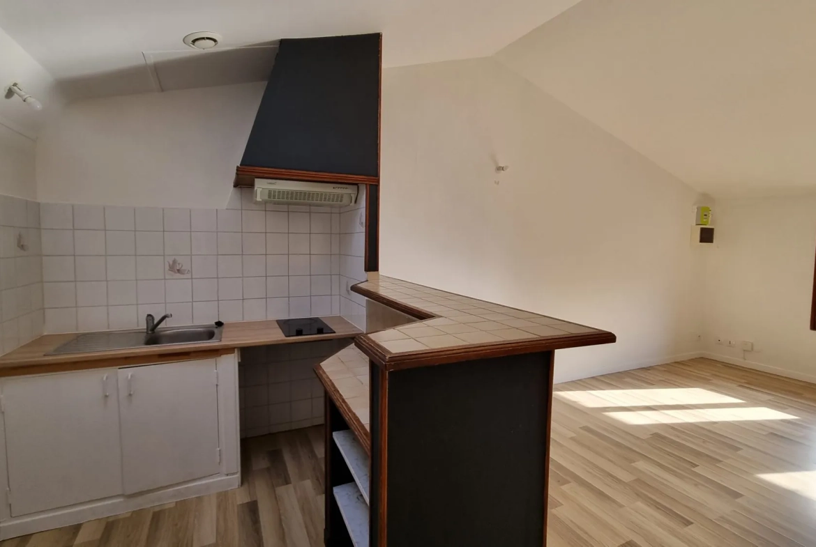 Maison à Mondonville avec deux appartements locatifs, faible charge, bon rendement 