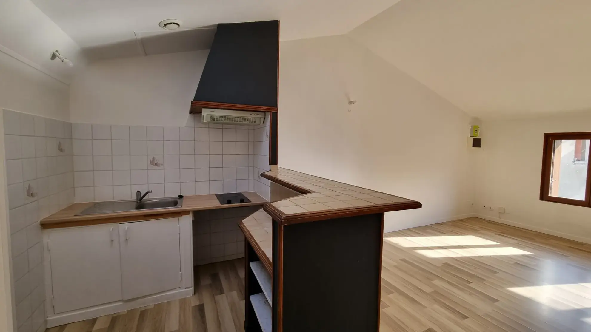 Maison à Mondonville avec deux appartements locatifs, faible charge, bon rendement 