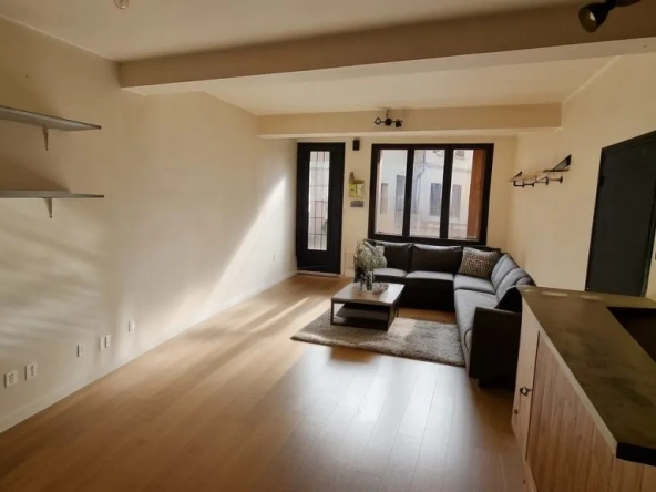Maison à Mondonville avec deux appartements locatifs, faible charge, bon rendement