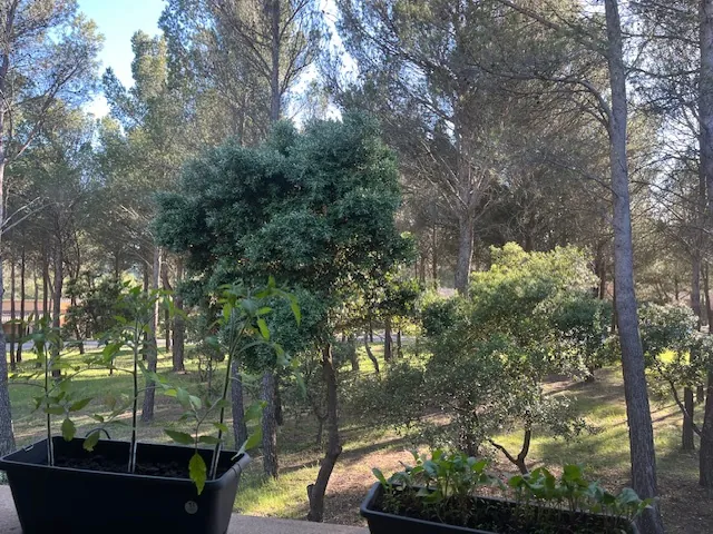Appartement T2 à Saumane-de-Vaucluse avec terrasse et vues sur la pinède 