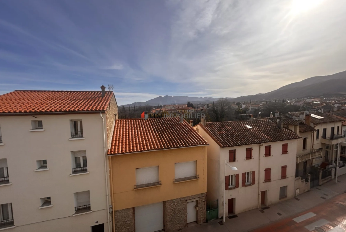 Appartement lumineux avec vue sur Céret, cave et parking - Opportunité à saisir 