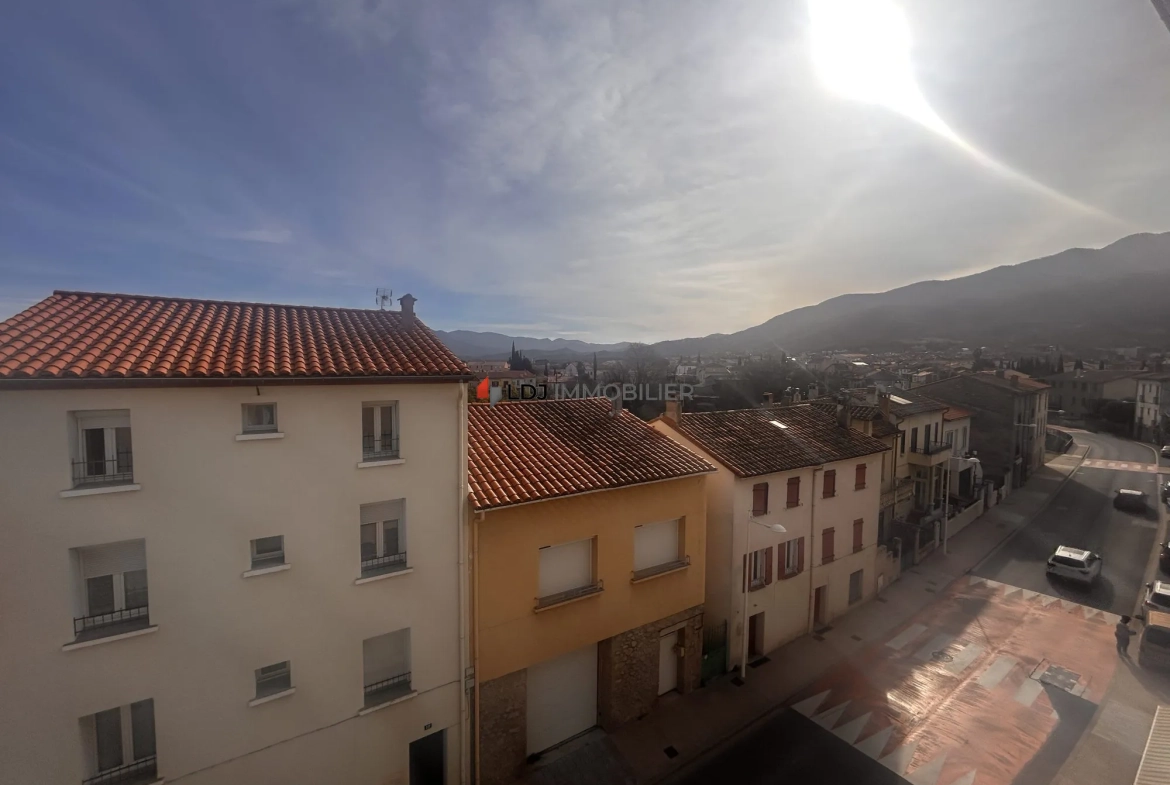 Appartement lumineux avec vue sur Céret, cave et parking - Opportunité à saisir 