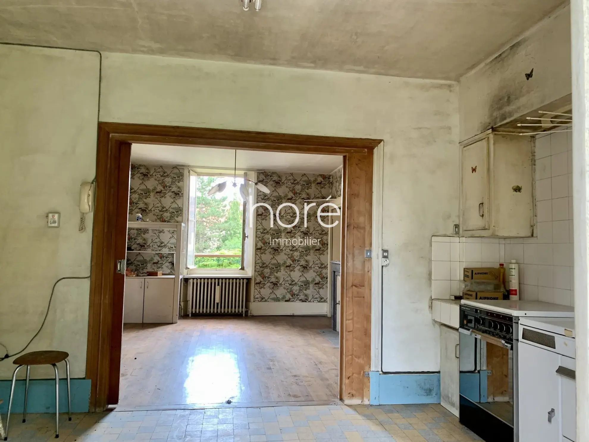 Maison ancienne à rénover avec jardin et dépendances à Dixmont 89500 