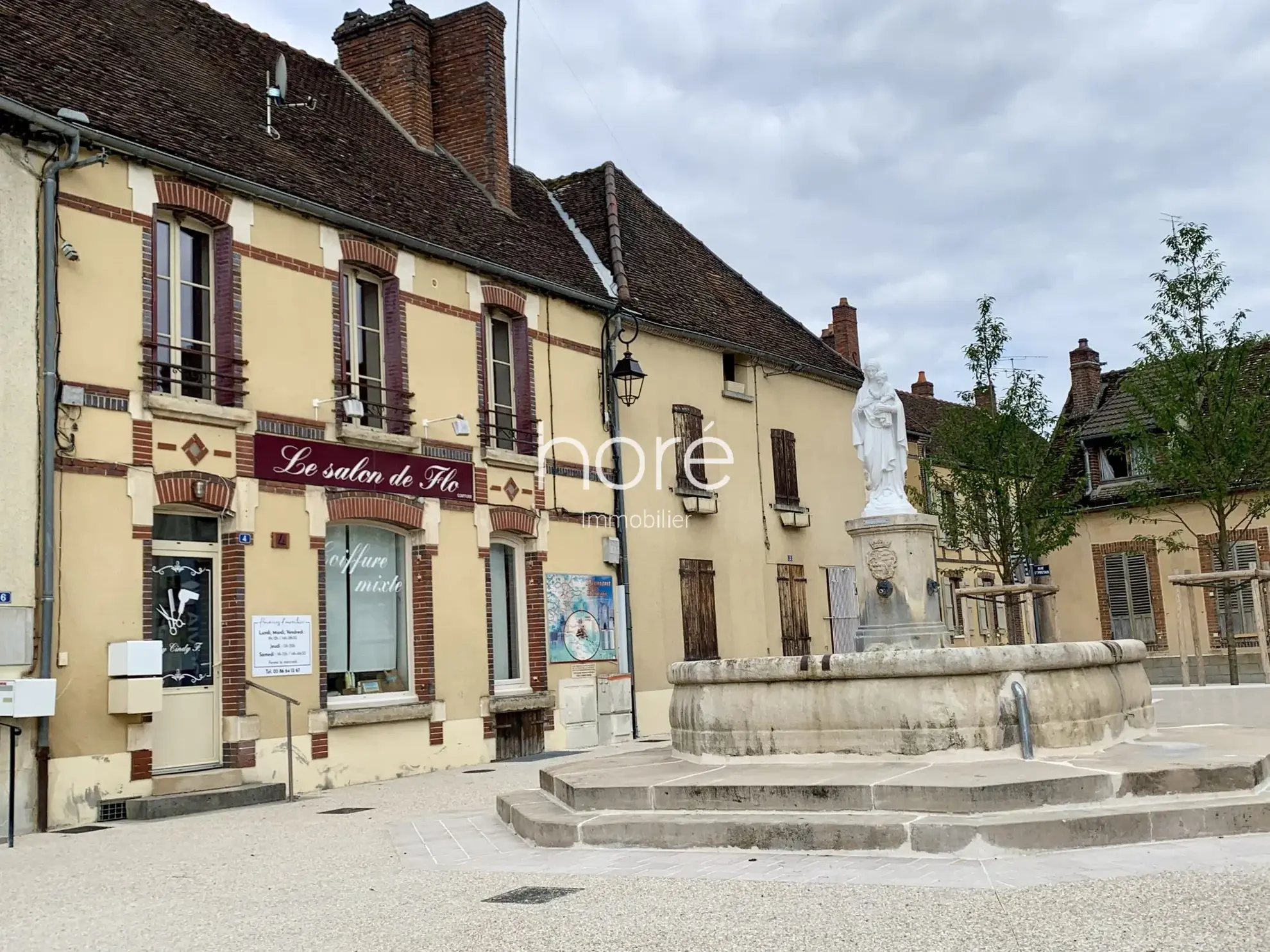 Maison ancienne à rénover avec jardin et dépendances à Dixmont 89500 
