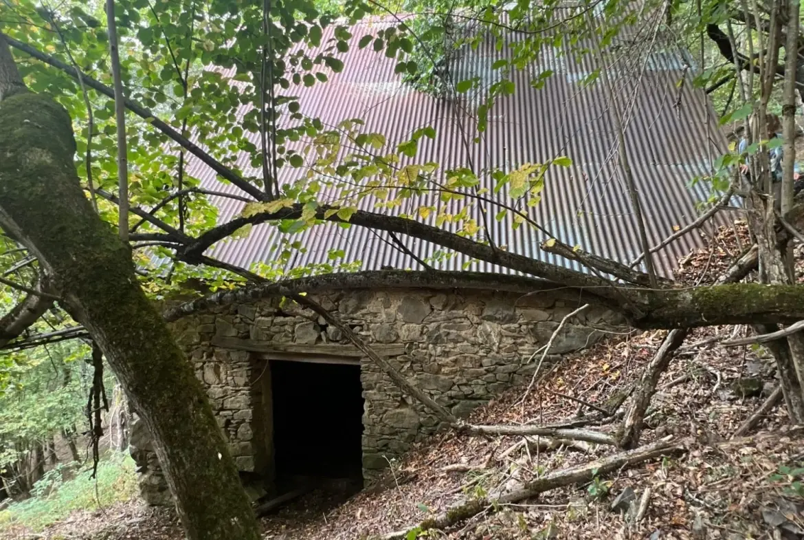 Grange foraine à rénover près d'Arreau dans les Hautes-Pyrénées 