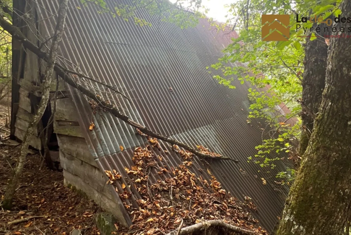 Grange foraine à rénover près d'Arreau dans les Hautes-Pyrénées 