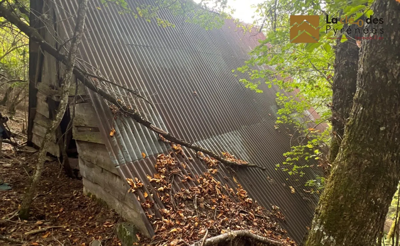 Grange foraine à rénover près d'Arreau dans les Hautes-Pyrénées 