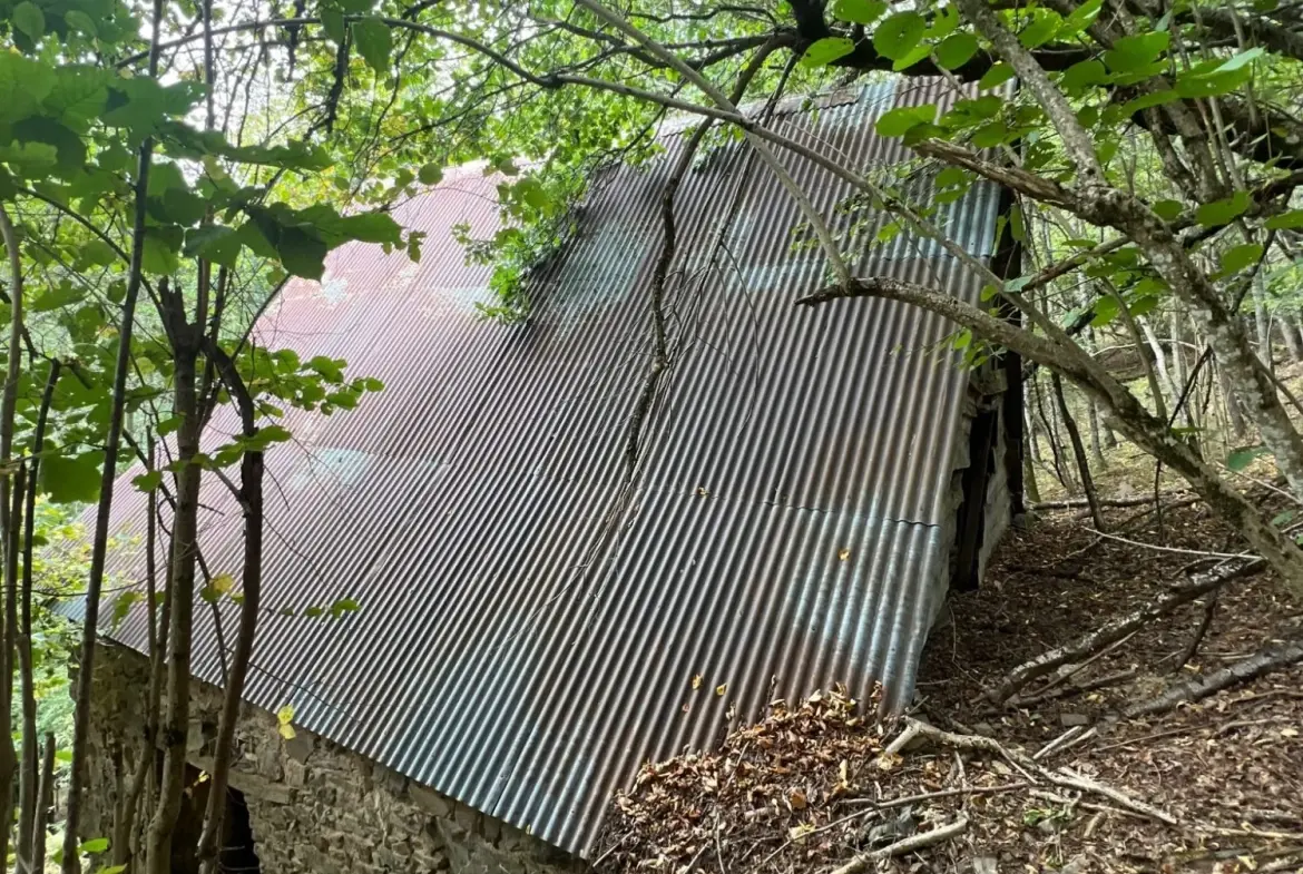 Grange foraine à rénover près d'Arreau dans les Hautes-Pyrénées 