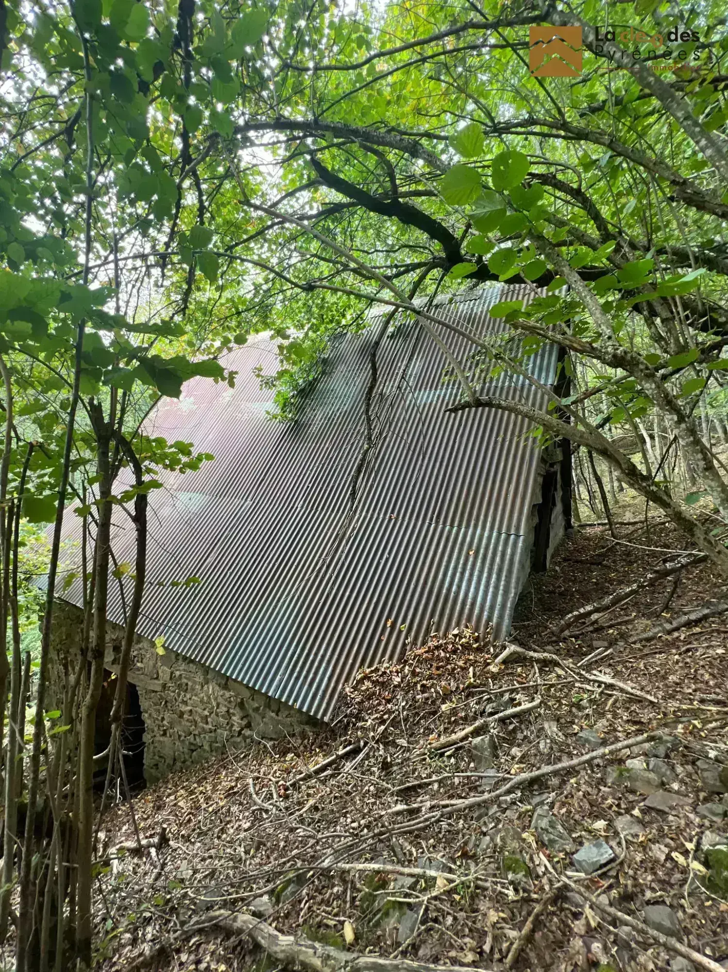 Grange foraine à rénover près d'Arreau dans les Hautes-Pyrénées 