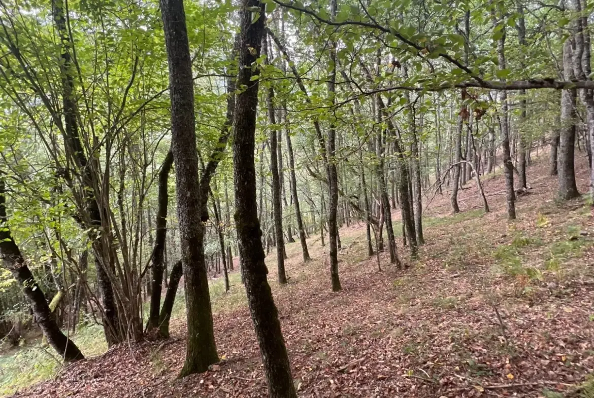 Grange foraine à rénover près d'Arreau dans les Hautes-Pyrénées 