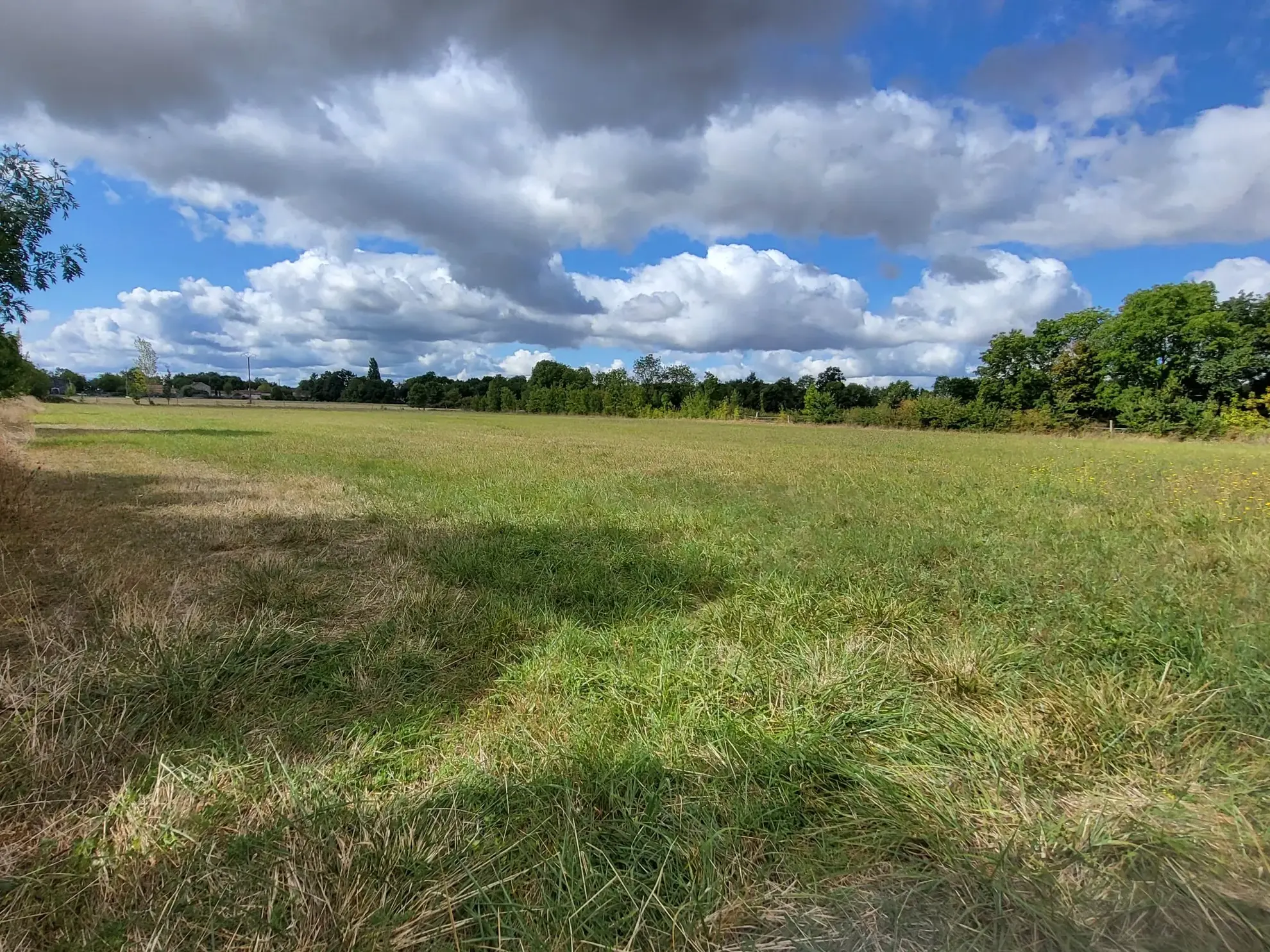 Terrain constructible calme et plat à Aumagne, fort potentiel à saisir 