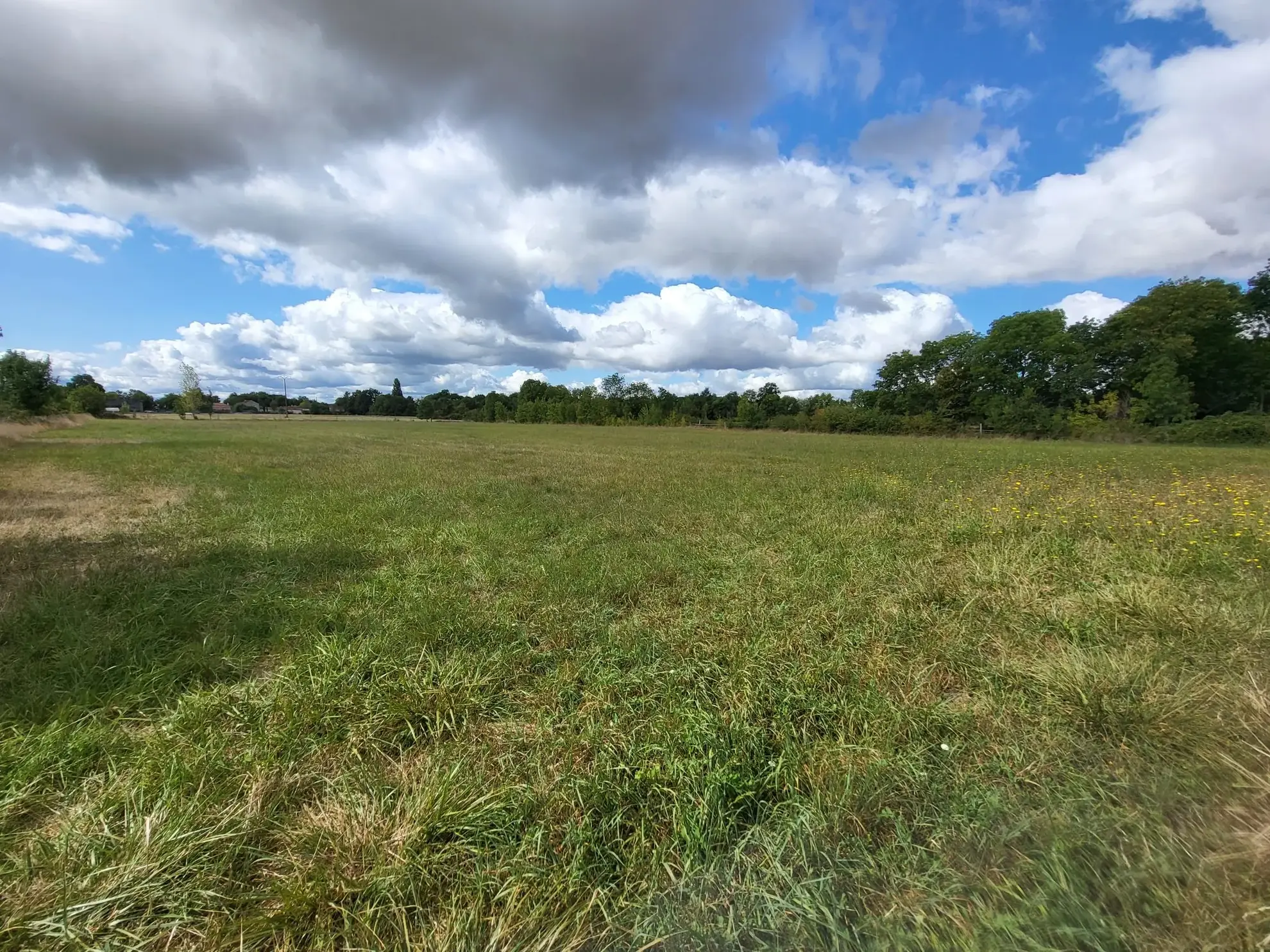 Terrain constructible calme et plat à Aumagne, fort potentiel à saisir 