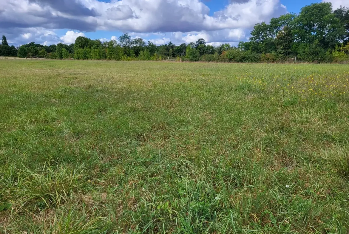 Terrain constructible calme et plat à Aumagne, fort potentiel à saisir 