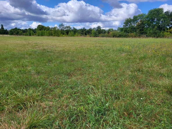 Terrain constructible calme et plat à Aumagne, fort potentiel à saisir