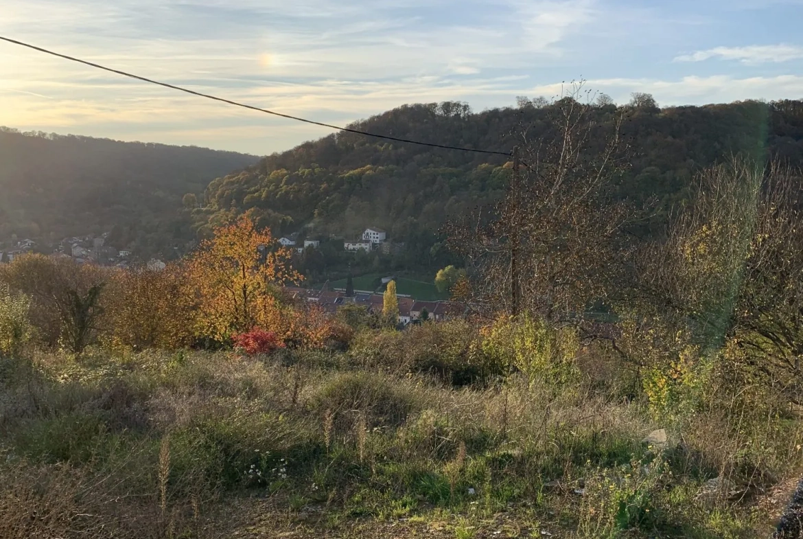 Terrain à vendre à Algrange, proche Luxembourg, avec permis de construire purgé 