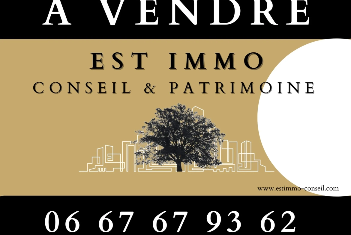 A vendre société automobile à Eckbolsheim avec fort potentiel de croissance 