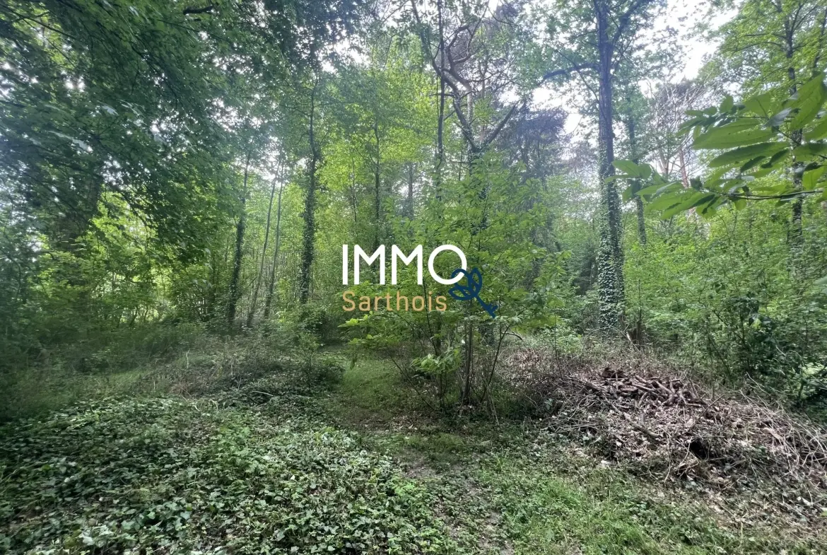 Terrain de loisirs de 3 400 m² à Mansigné avec petit bâtiment 