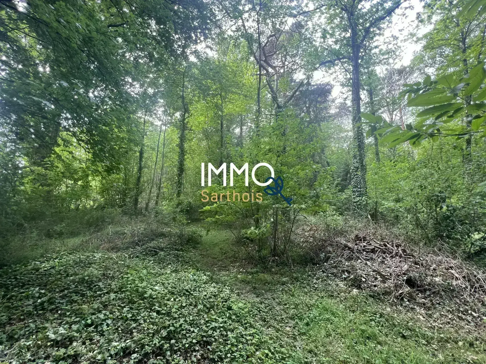 Terrain de loisirs de 3 400 m² à Mansigné avec petit bâtiment 