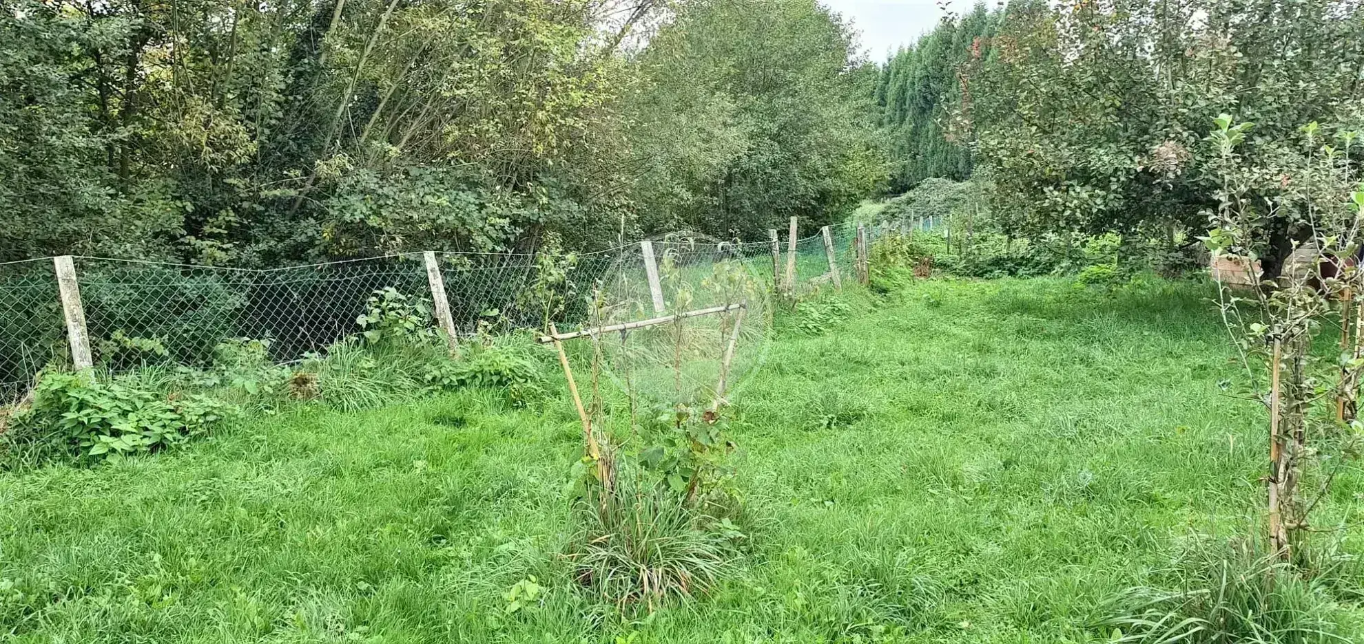 Terrain constructible de 570m² à Sainte Foy l'Argentière 