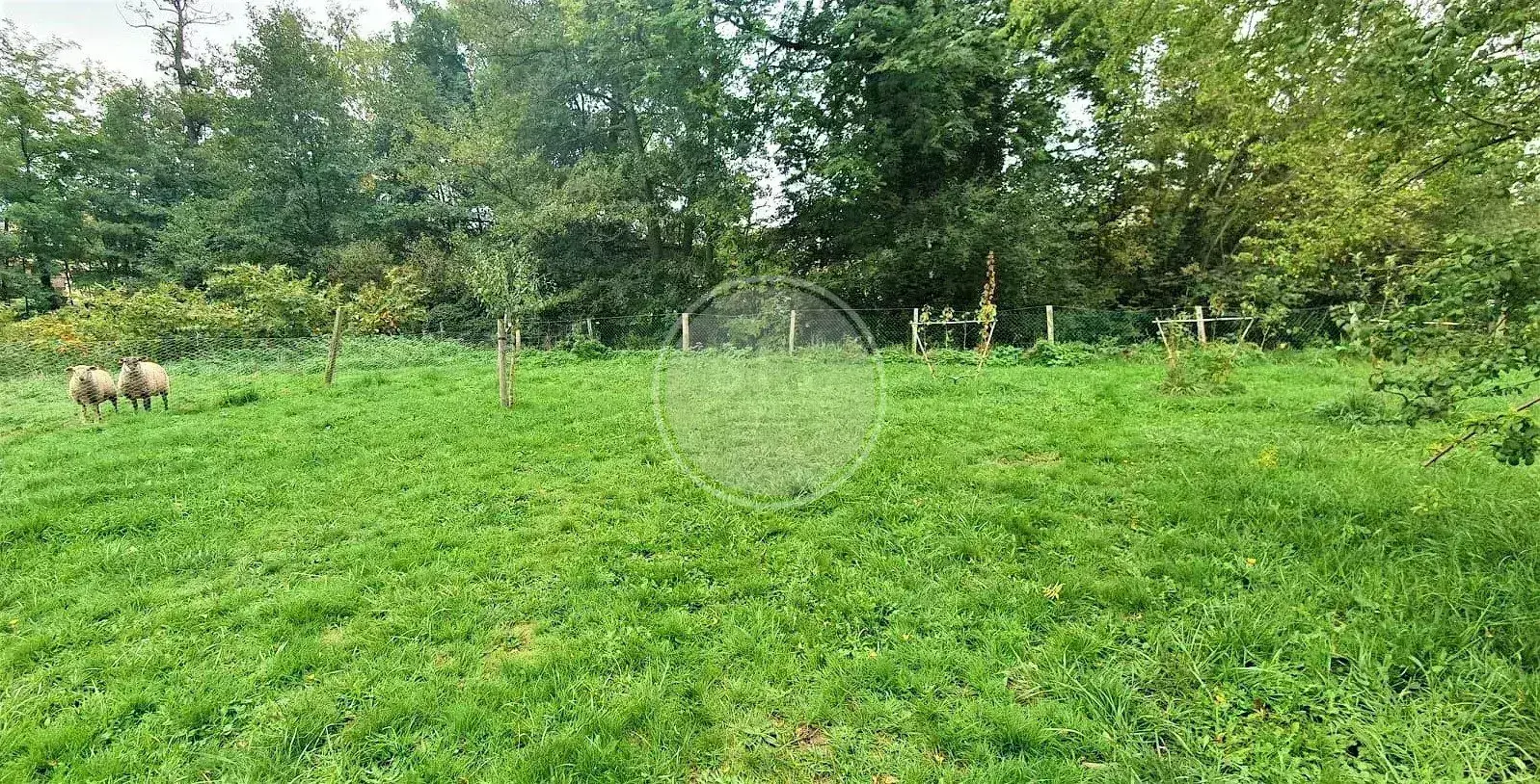 Terrain constructible de 570m² à Sainte Foy l'Argentière 