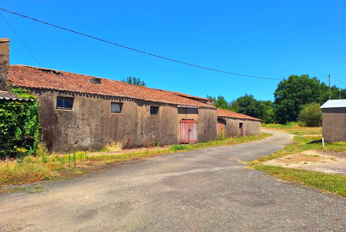 Maison à rénover avec terrain de 5500 m² à La Boissière-du-Doré 