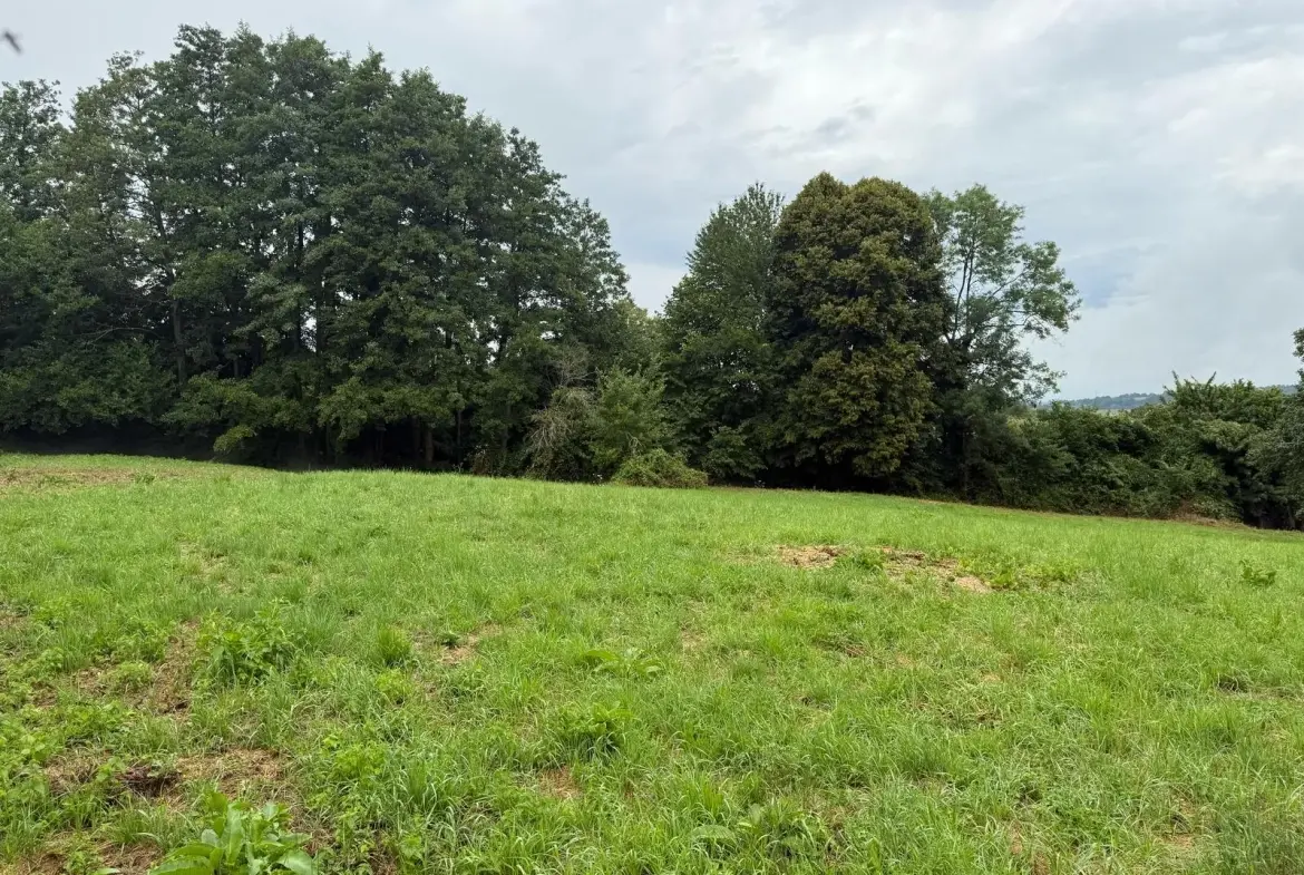 Terrain Agricole de 12 000 m² à Livarot Pays d'Auge – Idéal pour projets nature ou agricoles 