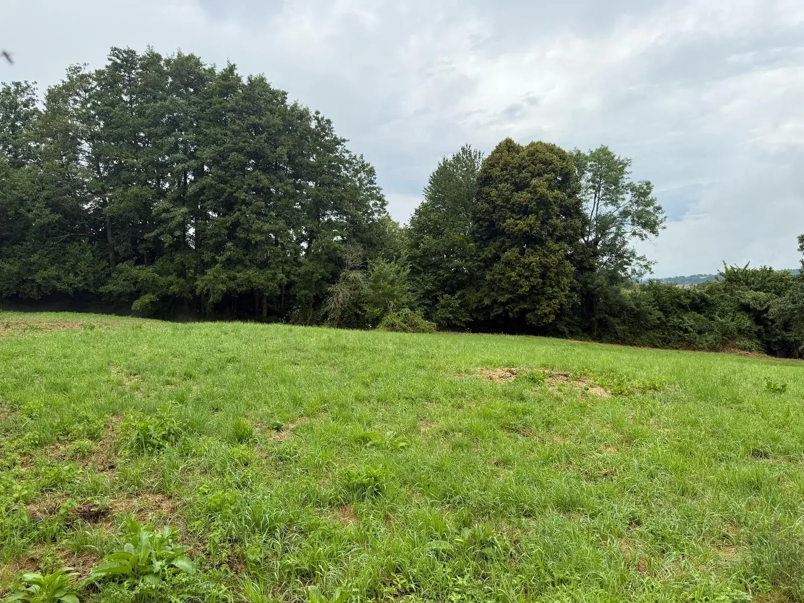 Terrain Agricole de 12 000 m² à Livarot Pays d'Auge – Idéal pour projets nature ou agricoles 