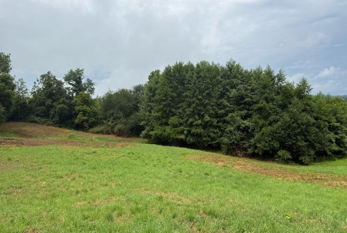 Terrain Agricole de 12 000 m² à Livarot Pays d'Auge – Idéal pour projets nature ou agricoles 