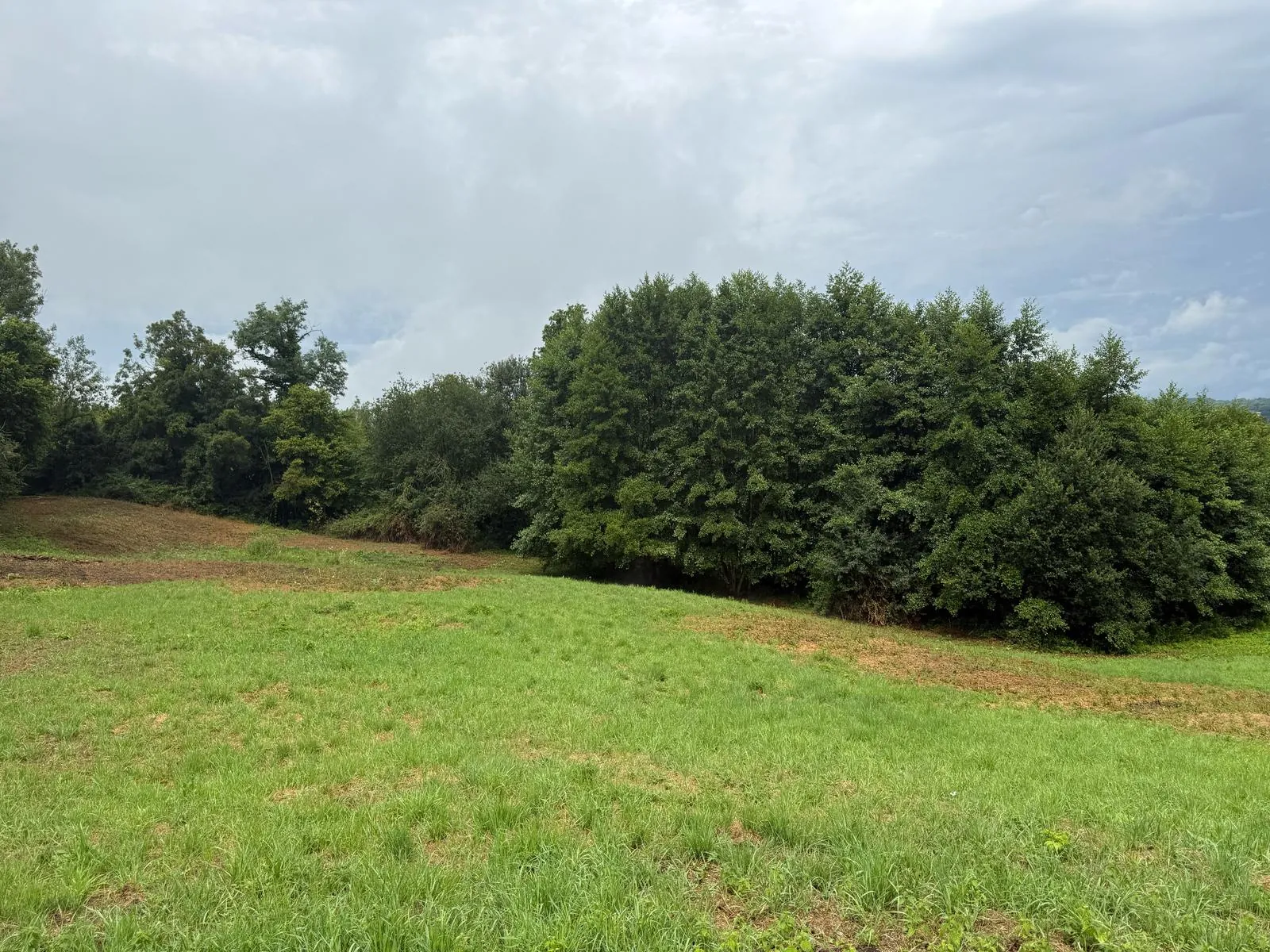 Terrain Agricole de 12 000 m² à Livarot Pays d'Auge – Idéal pour projets nature ou agricoles 