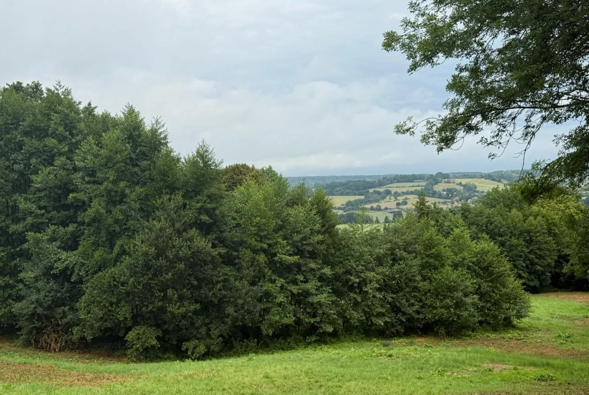 Terrain Agricole de 12 000 m² à Livarot Pays d'Auge – Idéal pour projets nature ou agricoles 