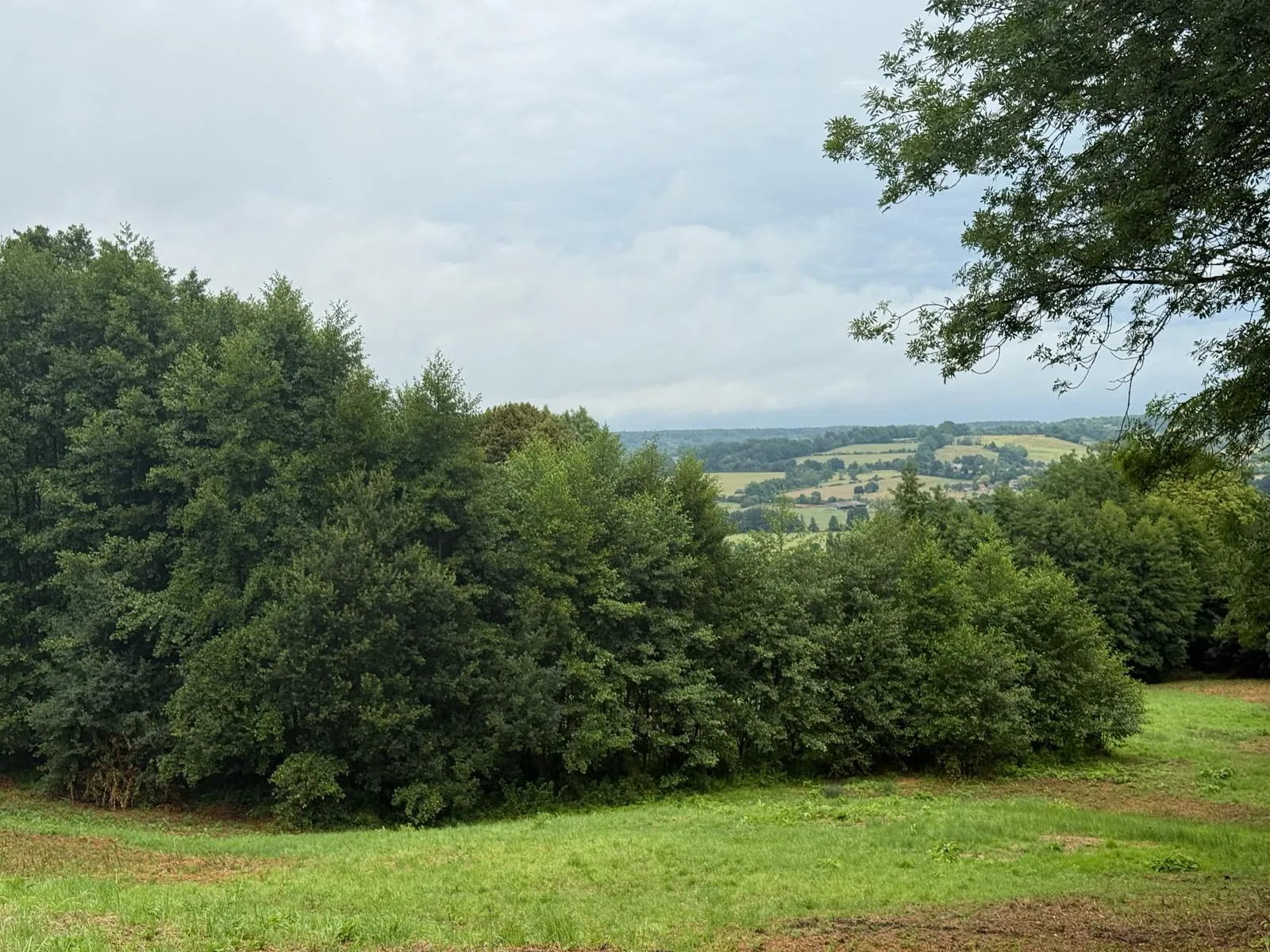 Terrain Agricole de 12 000 m² à Livarot Pays d'Auge – Idéal pour projets nature ou agricoles 