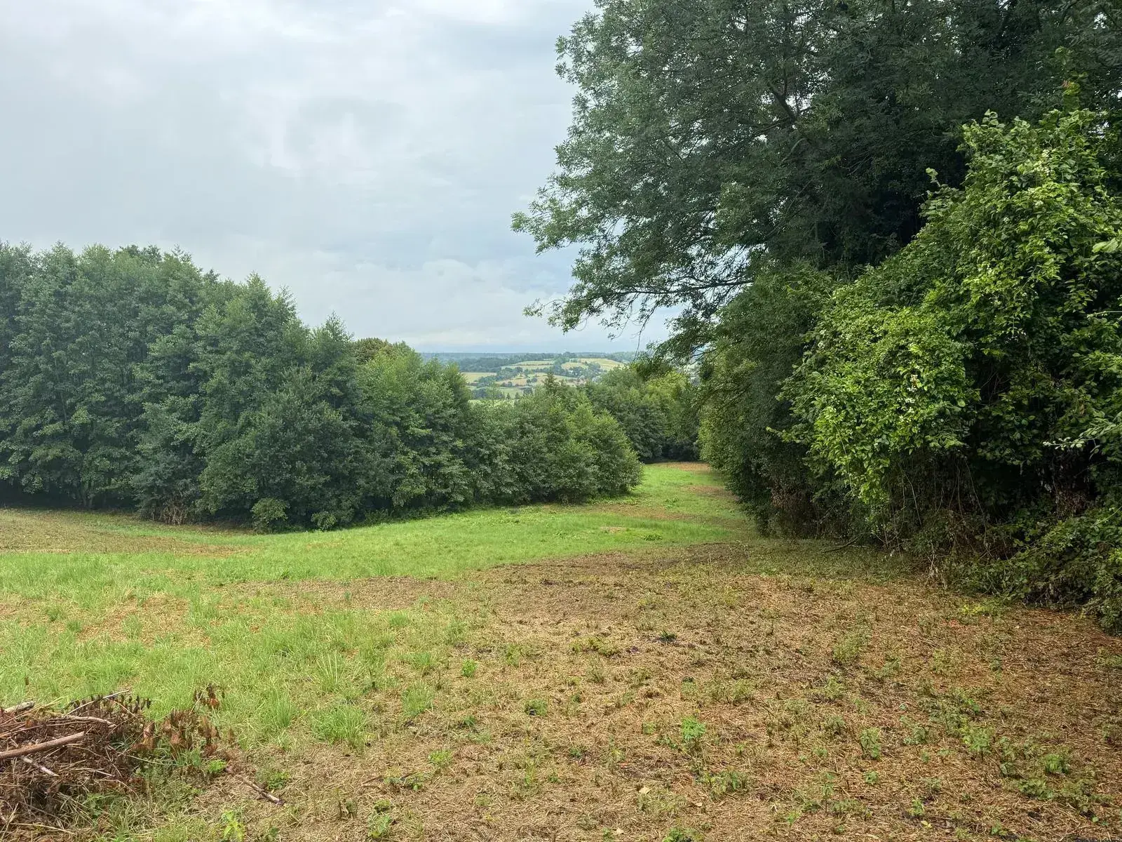 Terrain Agricole de 12 000 m² à Livarot Pays d'Auge – Idéal pour projets nature ou agricoles 