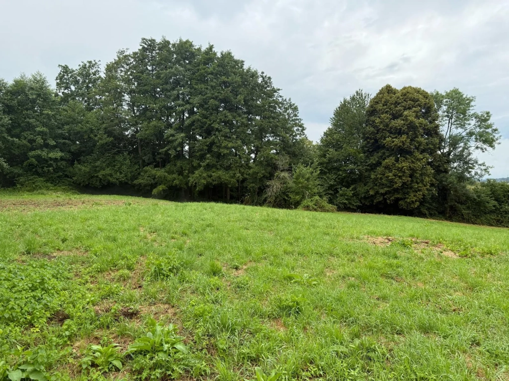 Terrain Agricole de 12 000 m² à Livarot Pays d'Auge – Idéal pour projets nature ou agricoles