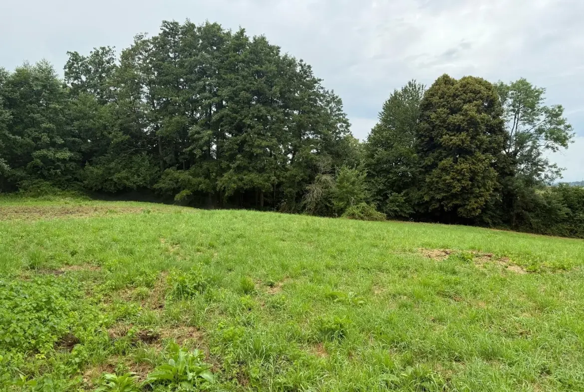 Terrain Agricole de 12 000 m² à Livarot Pays d'Auge – Idéal pour projets nature ou agricoles 