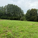 Terrain Agricole de 12 000 m² à Livarot Pays d'Auge – Idéal pour projets nature ou agricoles