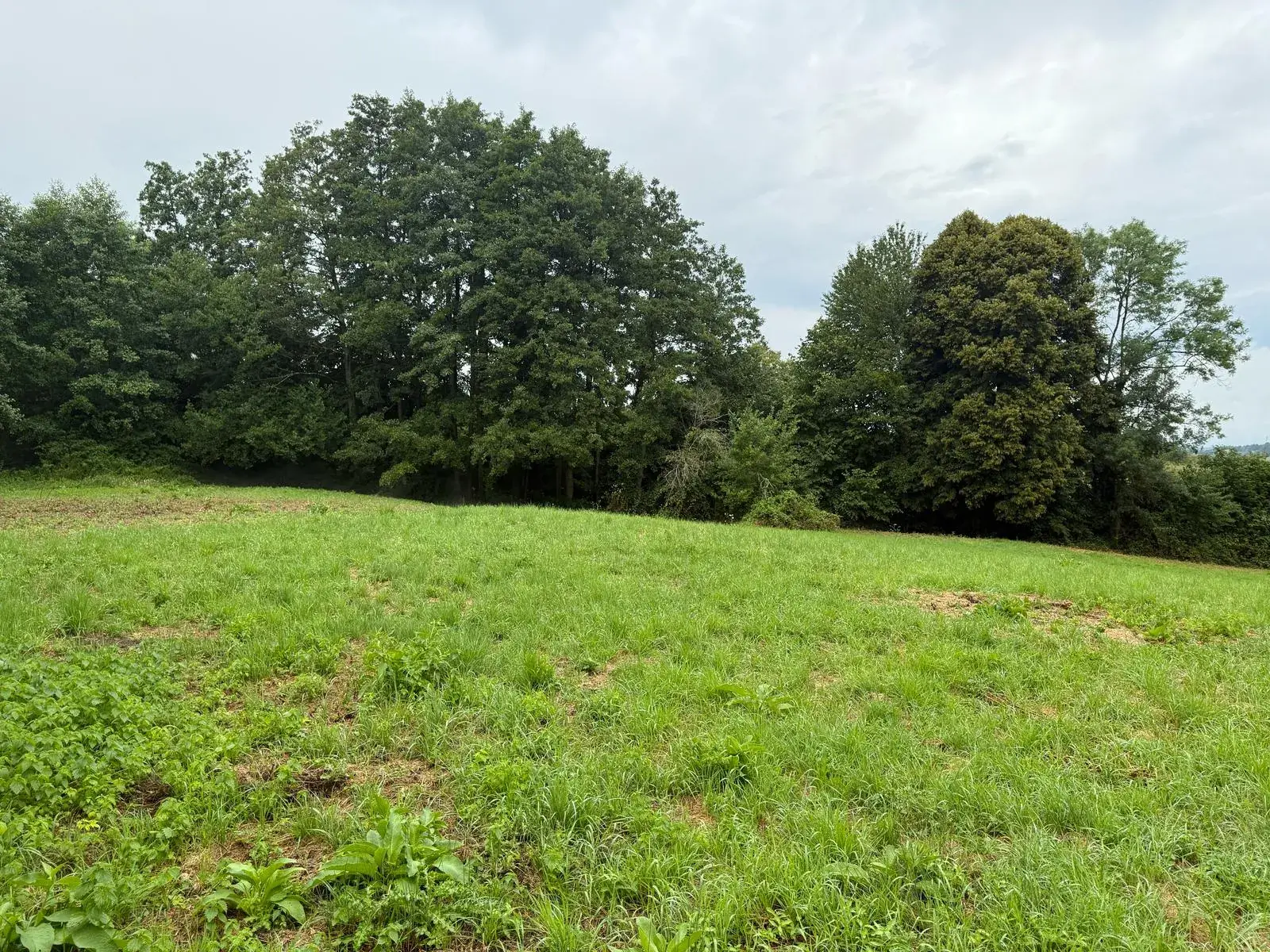 Terrain Agricole de 12 000 m² à Livarot Pays d'Auge – Idéal pour projets nature ou agricoles 